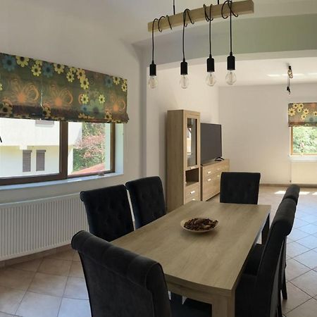 Vila 7 Predeal - Unique Location In The Forest Εξωτερικό φωτογραφία