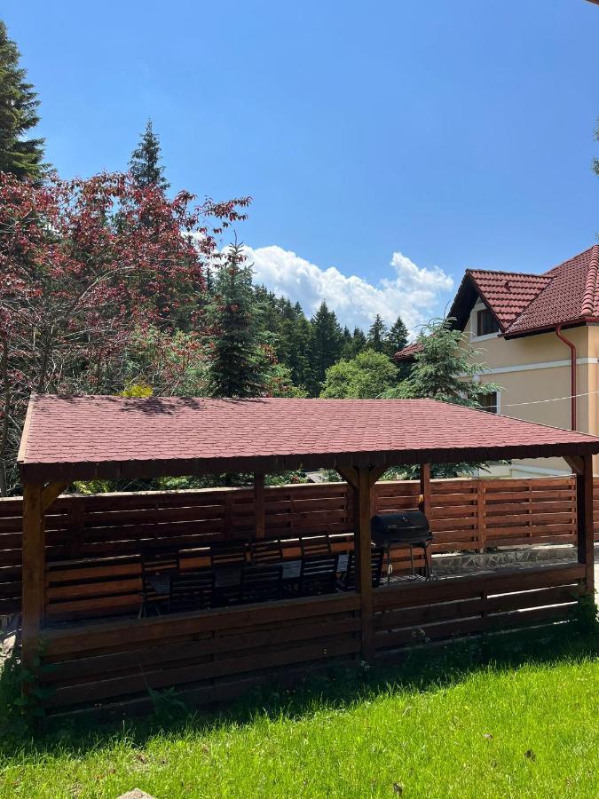 Vila 7 Predeal - Unique Location In The Forest Εξωτερικό φωτογραφία